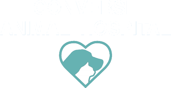 Converse Animal Hospital Icon